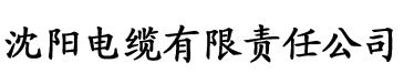 甜文结局之后(青灯)po许唯于世洲电缆厂logo